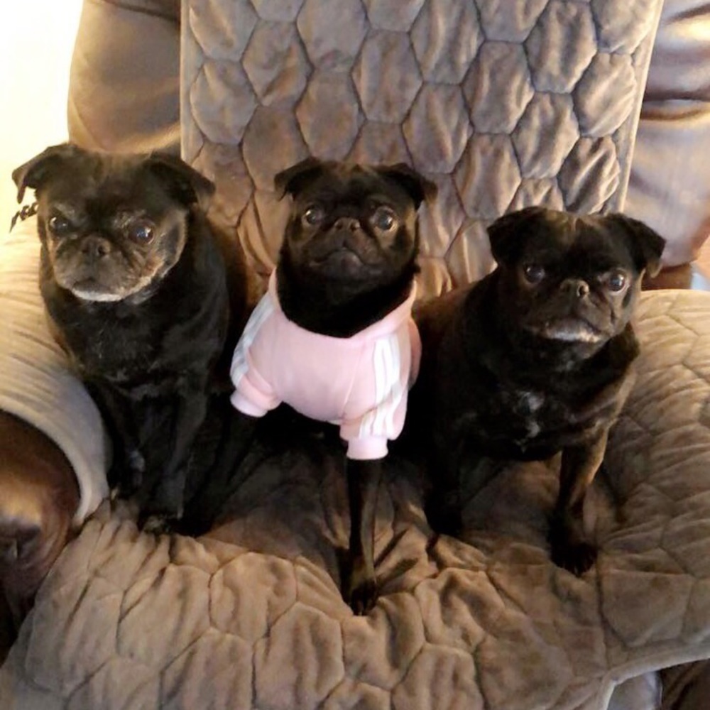 Meet your Posher, Michaela